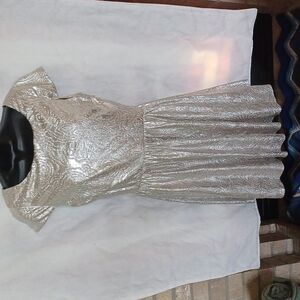 HAILEY LOGAN ADRIANNA PAPELL Metallic Silver Cocktail Dress , L